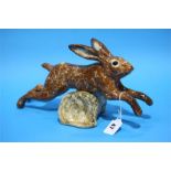 A jumping Winstanley Hare.