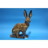 A Winstanley Hare.