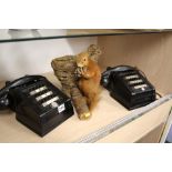 2 Telephones and a squirrel