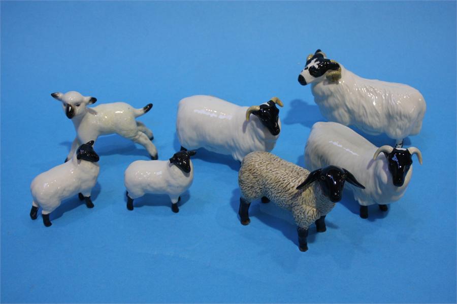 Seven Beswick sheep.