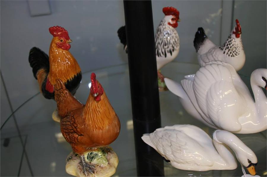 Four Beswick chickens and two swans.