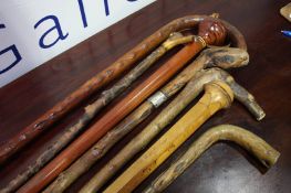 A group of seven wooden walking sticks. Includes a