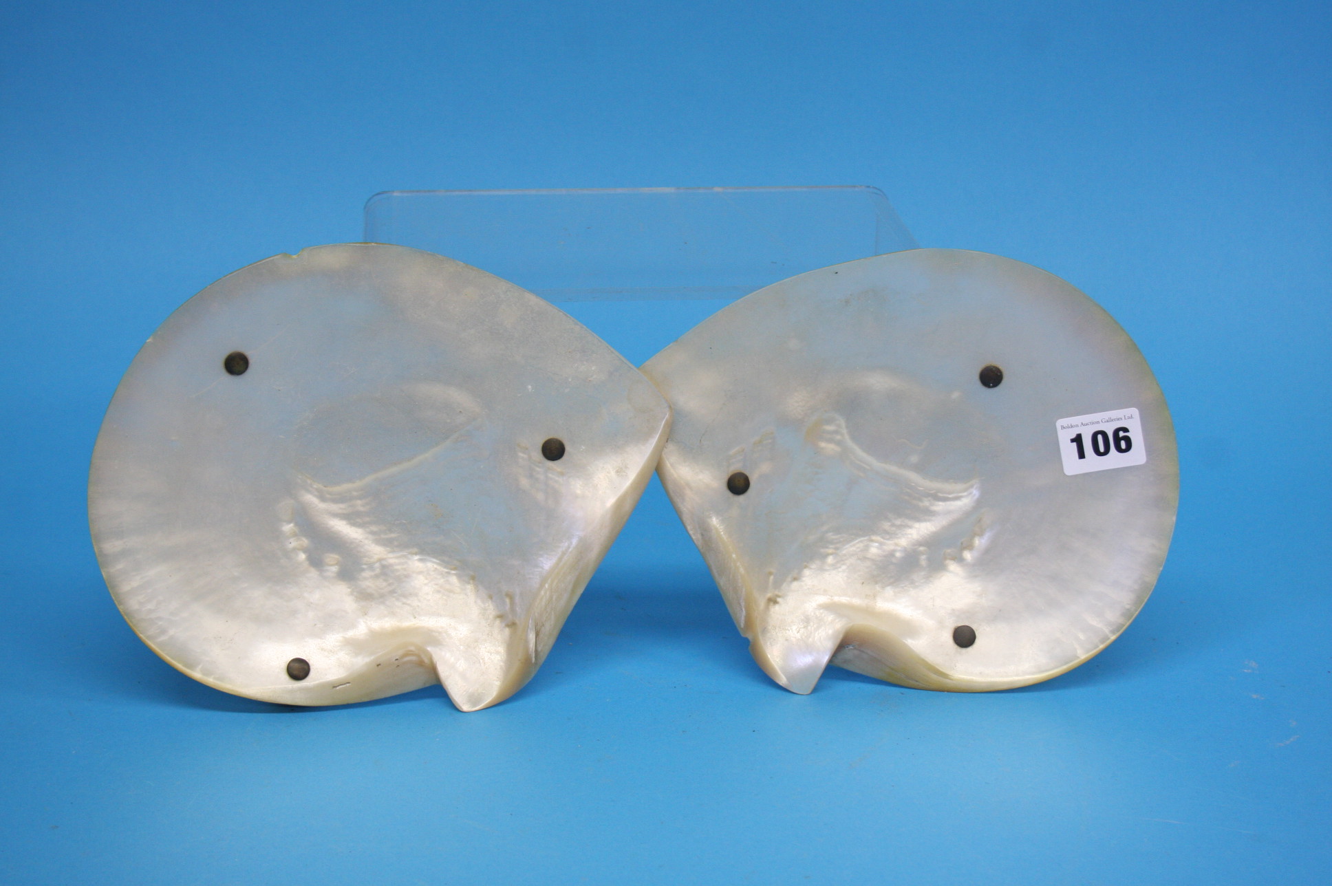 Pair of shell caviar dishes - Image 2 of 2