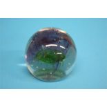 A boxed Caithness 'Sea Kelp' paperweight, limited