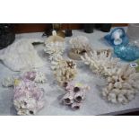 Collection of assorted coral etc.
