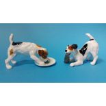 2 Royal Doulton terriers no's HN2654 and HN1158