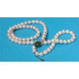 A pearl necklace with a 9ct gold and turquoise cla