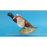 A Beswick Pheasant, black printed mark, numbered 8