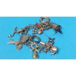 Gold charm bracelet and charms