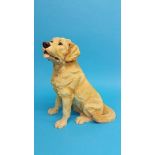 A Border Fine Art yellow Labrador