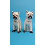 Two Victorian Pug dogs with gilt collars, 30cm hei