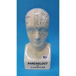 A modern Phrenology head.