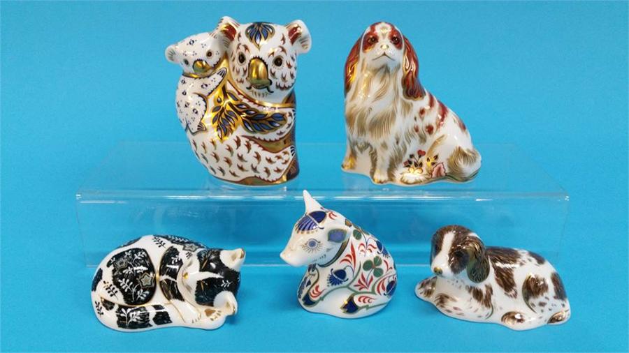 Five Royal Crown Derby paperweights, koala, two do