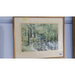 Watercolour Wooded landscape