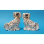 A pair of Staffordshire Spaniels with glass eyes,