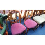 A pair of Victorian balloon back chairs