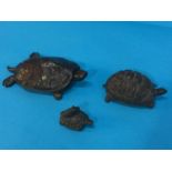 A family of 3 bronze turtles