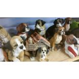 Collection of model Boxer dogs