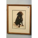 Helen May, watercolour, signed with artist's monogram, 'Loyalty' A black Labrador. 32cm x 22cm