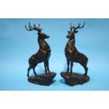 Pair of stags