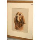 Sidney C Holloway (1903-1976), pastel, signed, 'Red Setter', List of Artist's exhibitions verso