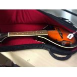 A 'Vintage' mandolin and soft case