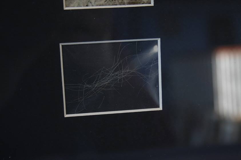The Duke of Wellington's strands of hair, framed with picture etc. - Image 2 of 4