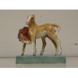 Royal Worcester foals modelled by Doris Lindner 31
