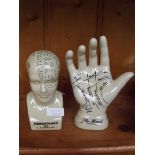 Phrenology bust and palmistry hand