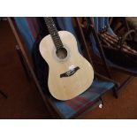 Power play acoustic guitar in soft case