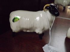 Beswick sheep