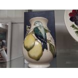 Moorcroft vase lemons and parrots design, boxed