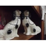 Pair of Staffordshire Spaniel dogs