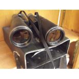 Cased set of binoculars