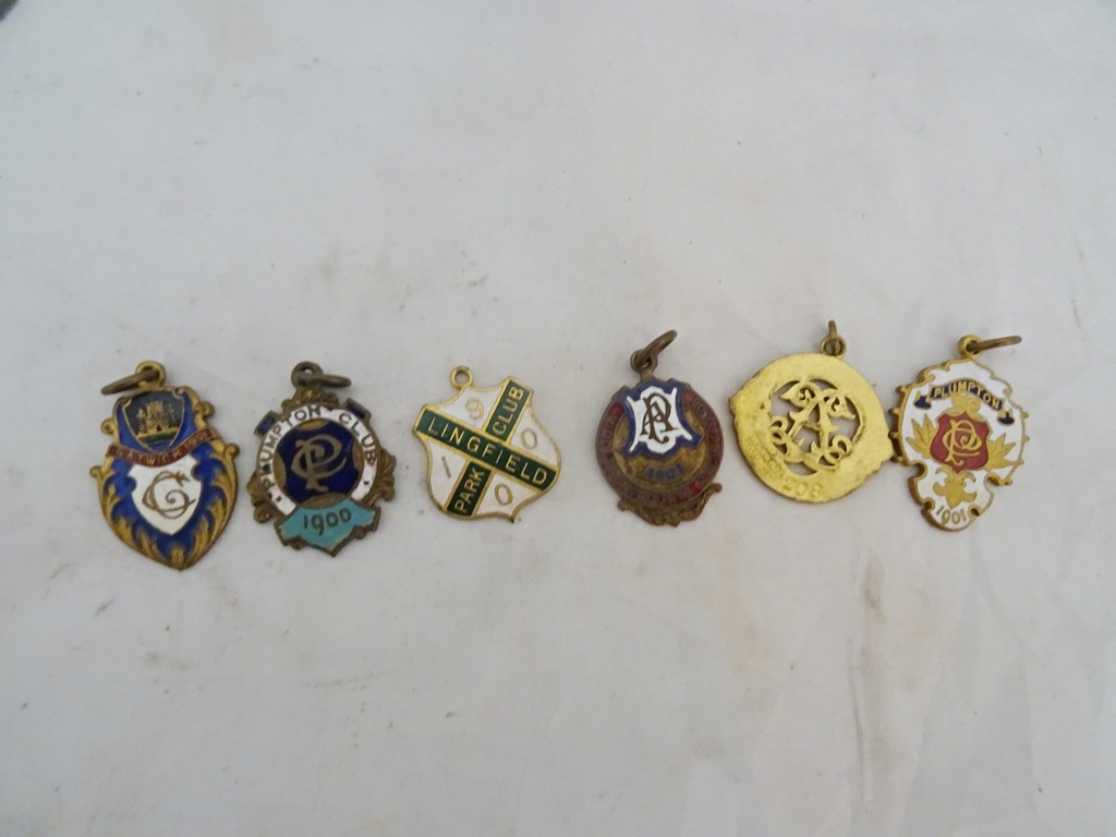 A group of early 20th century racecourse meeting gilt metal and enamel badges, C1900,