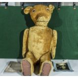 Teddy from Odeon Children's Club, a large ventriloquist dummy circa 1940's with photographs and