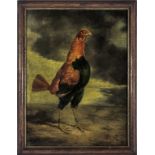 A framed oil on board of a cockerel, image size 40cm x 30cm