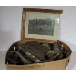 Box containing horse harness and a photograph of a regiment