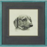 A framed charcoal drawing 'Daxy Dog' signed Kery Tait. Image size 18cm x 19cm