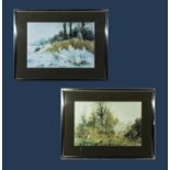 A pair of framed prints by Derick Brown, 30cm x 45cm