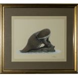 A framed watercolour of an otter by Richard Petherick