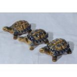 Three Wade tortoises