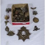 A quantity of military cap and lapel badges