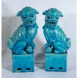 A pair of Qing period turquoise glaze temple dogs, 36cm tall
