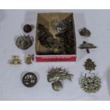 A quantity of military cap and lapel badges