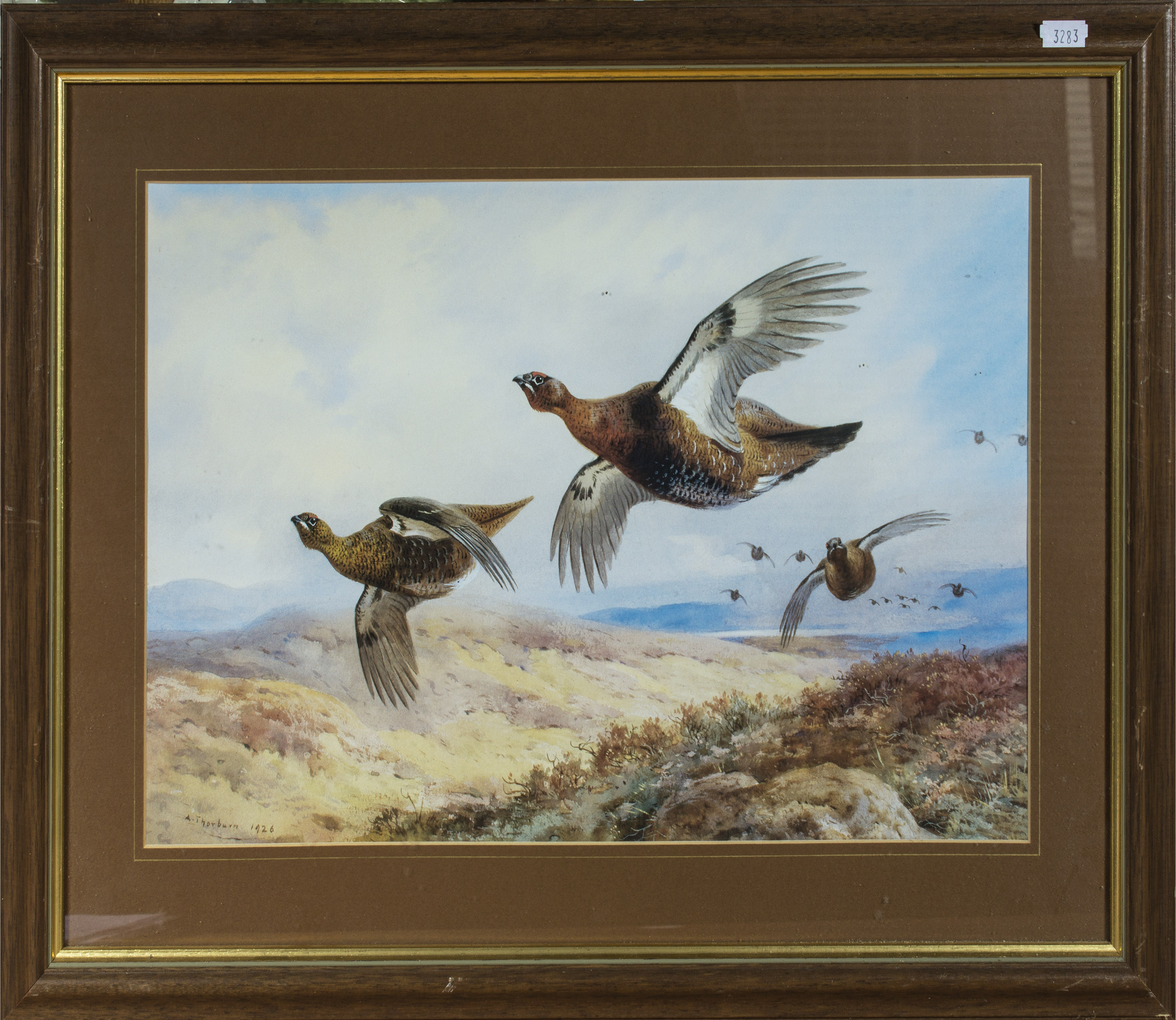 Two framed Archibald Thorburn prints of pheasants Size 27.5cm x 45cm - Image 3 of 3