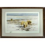 A framed David Shepherd limited edition proof print entitled 'Lone Wanderers of the Arctic' signed