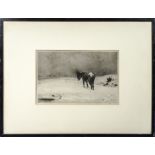 A framed etching of a donkey signed Mac W. size 17cm x 25.5cm