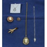 Three pendants and three brooches