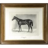 A framed print of a racehorse entitled 'Flying Fox 1900' size 31cm x 37cm